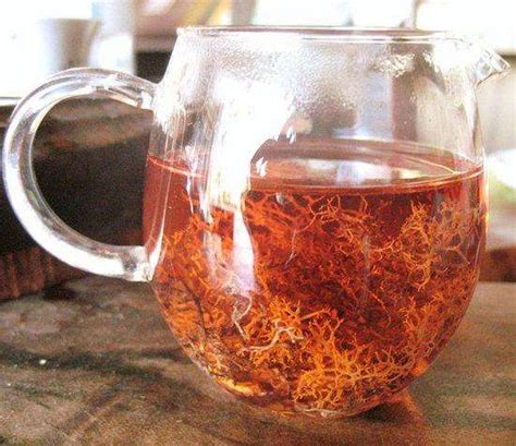 红雪茶的副作用有哪些 红雪茶什么人不能喝_保健茶_绿茶说