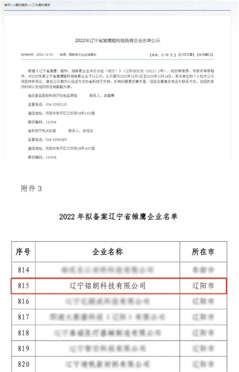 2022年辽宁省雏鹰企业名单，铭朗科技荣登榜单！—公司新闻—新闻中心—辽宁铭朗科技有限公司