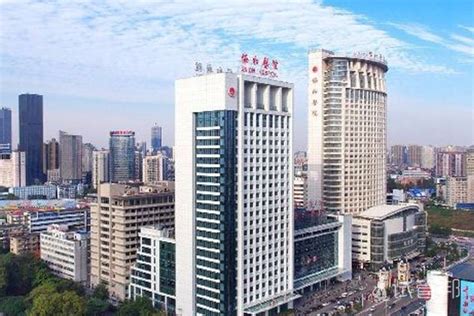 武汉市第一医院互联网医院正式启动 首创辅医介入模式|新冠肺炎_新浪新闻