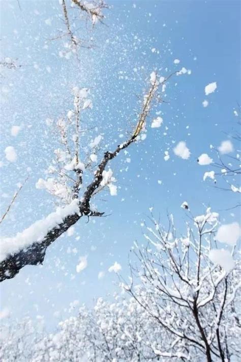 形容雪很美的诗句,雪景的诗句_大山谷图库