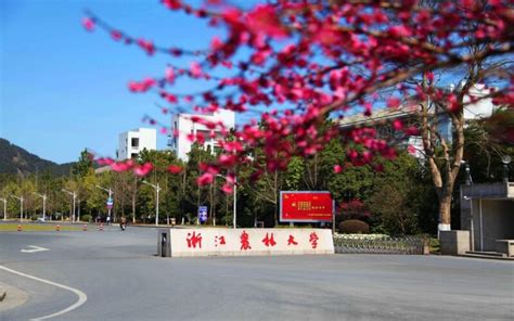 浙江农林大学是一本还是二本-百度经验