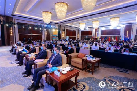 第6届中国—东盟药品合作发展高峰论坛在防城港市举行-医药康养-广西民族文化网-广西民族文化发展研究会