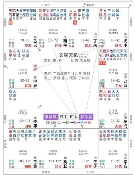 紫薇斗数文化(紫微斗数解读)_紫微斗数_水木易学