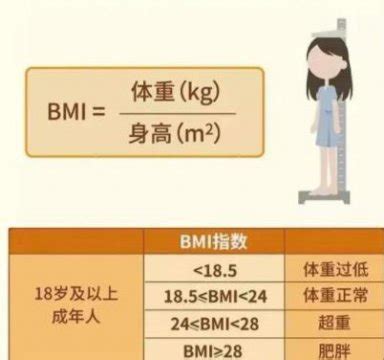 标准体重对照表女生bmi，女性标准bmi对照图-528时尚网
