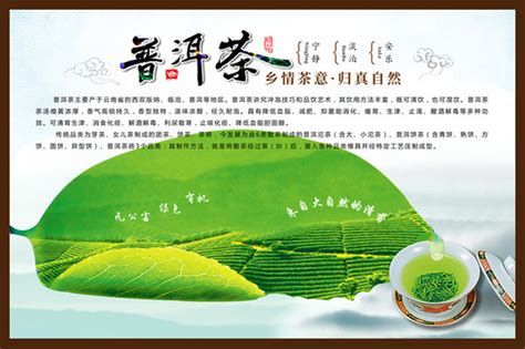 普洱茶广告宣传海报图片_普洱茶广告宣传海报设计素材_红动中国