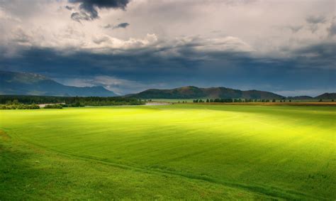 乌云下的绿色草地摄影图片设计模板素材
