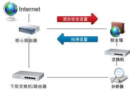 服务器一般用什么语言开发 (服务器开发需要什么技术支持)-速云博客