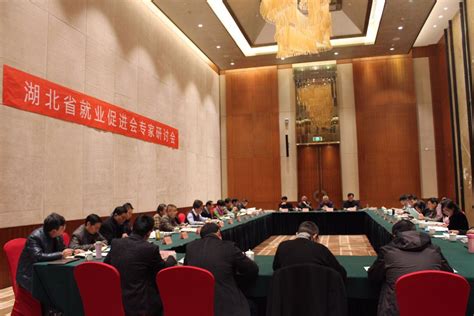 湖北省就业促进会专家研讨会在汉举行_湖北频道_凤凰网