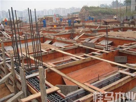 隆安县千百林木业有限公司-广西建筑模板批发-建筑模板厂