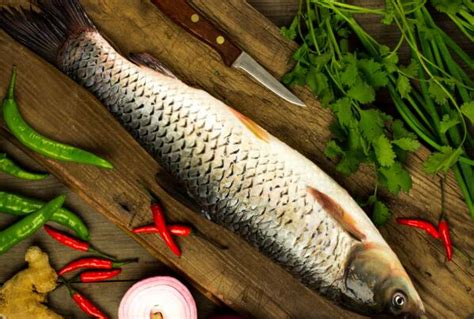 十大最干净的鱼排名-草鱼上榜(美味营养价值高)-排行榜123网