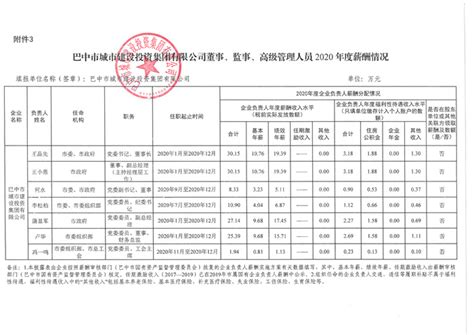 巴中市城市建设投资集团有限公司董事、监事、高级管理人员2020年度薪酬情况