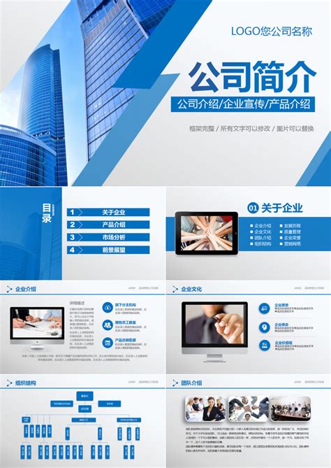 蓝星科技_武汉蓝星科技股份有限公司_投资界