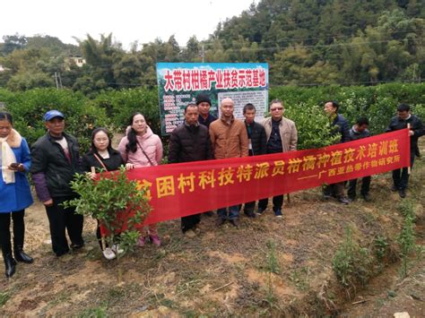 广西热作所在藤县贫困村举办2019年柑橘种植技术培训班 | 广西壮族自治区亚热带作物研究所
