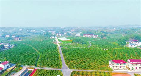 自贡大安区入选第三批国家农村产业融合发展示范园--四川经济日报