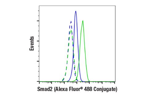 Smad2 (D43B4) XP® Rabbit mAb (Alexa Fluor® 488 Conjugate) | Cell ...