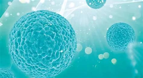 干细胞为何是再生医学的核心？ - 杭吉干细胞科技