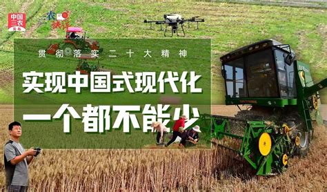 无惧波折，砥砺前行——三农系列2022年年度报告-新闻频道-和讯网