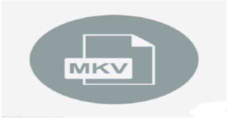 mkv是什么格式文件 ，怎么转成MP3格式 | 说明书网
