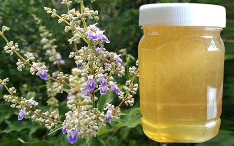 龙眼蜜的功效作用和药用价值，龙眼蜜和荔枝蜜哪个好？_蜂蜜