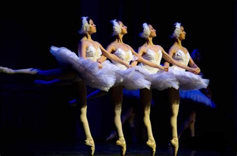 俄罗斯国立古典芭蕾舞团《天鹅湖》_上海票务网