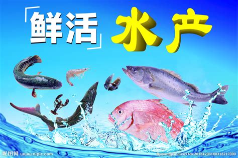 “活水”在水产养殖中的应用方法_河北华邦生物科技有限公司