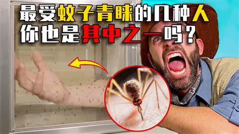 蚊子喜欢叮咬什么样的人？或许你就是其中之一 | 说明书网