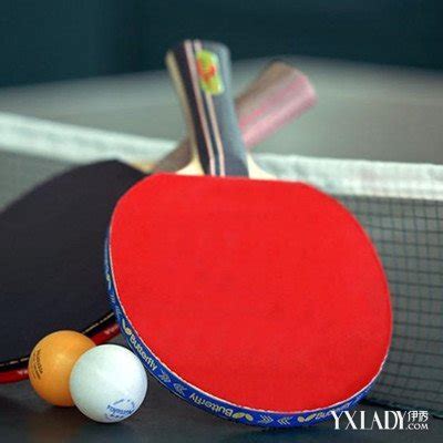 乒乓球世界排名规则更新 国乒揽四项第一