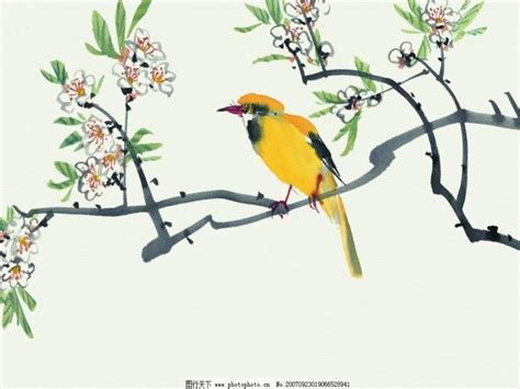 鸟语花香立春节气宣传海报模板下载-编号3638609-众图网