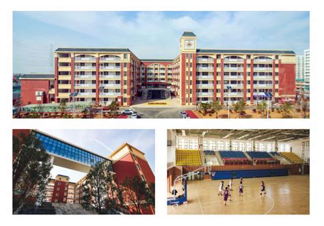 南阳市第五完全学校高中部2020年招生答疑_河南教育资讯在线网