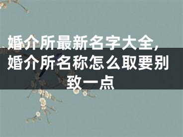 婚介小中心 “红娘”大作为 宿松新闻网