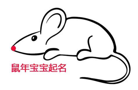 鼠年之手绘卡通鼠宝宝送元宝图片免费下载_PNG素材_编号vn2ioj8ly_图精灵