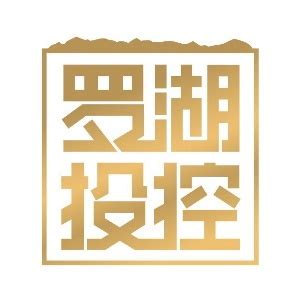 深圳市罗湖投资控股有限公司 - 爱企查
