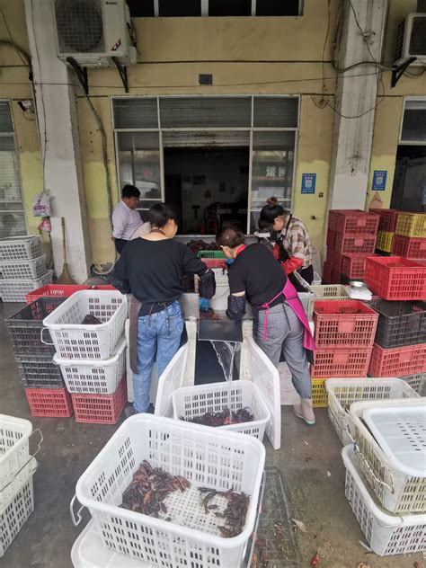 学校科技服务团队赴兴化安丰镇和海南镇调研小龙虾市场