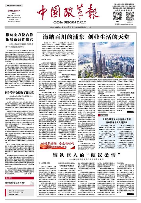 上海改革开放标志性首创案例 浦东新区十大入选案例