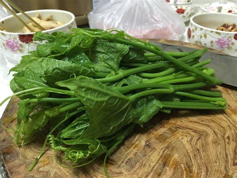 【蒜蓉野菜的做法步骤图，蒜蓉野菜怎么做好吃】贝壳厨艺坊_下厨房