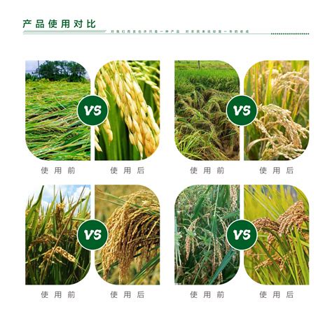 水稻专用墩千斤-河南田状元农业科技有限公司
