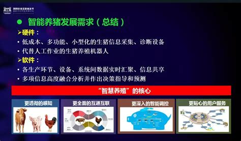 润农许志鹏：浅谈智能化养猪发展现状与趋势！看看对您有哪些启发？ - 猪好多网