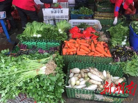 “益农社”搭起连心桥 新鲜蔬菜送到家 - 市州精选 - 湖南在线 - 华声在线