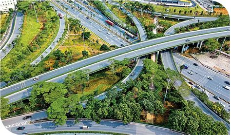 深圳“第二深南大道”要来啦！107国道市政化改造工程勘察设计公开招标