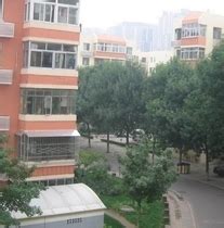 北太平庄街道主要道路新增310个智慧停车位_北京日报网