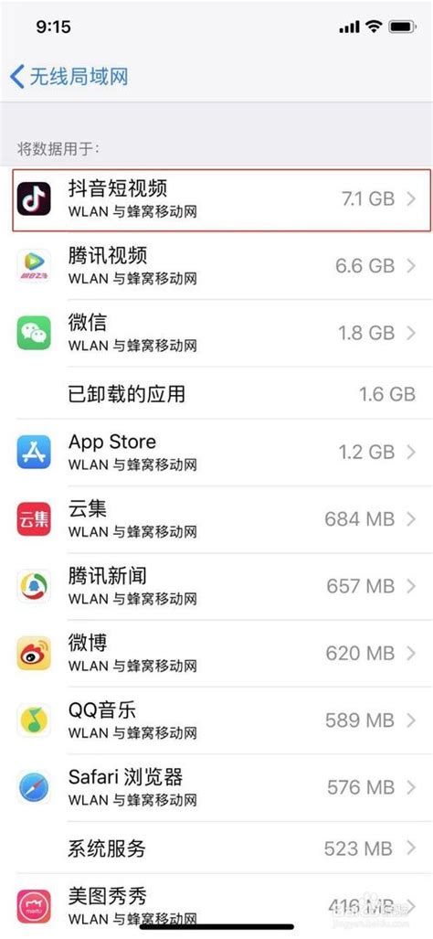 iPhone手机如何设置应用使用WLAN和蜂窝移动网 - 北京维耐特IT外包服务公司