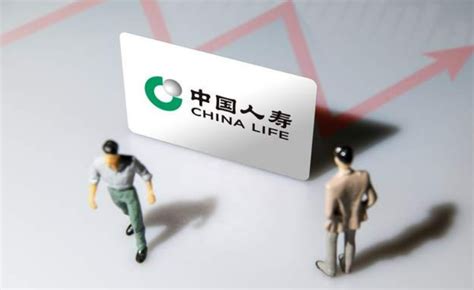中国人寿logo设计含义及设计理念-诗宸标志设计