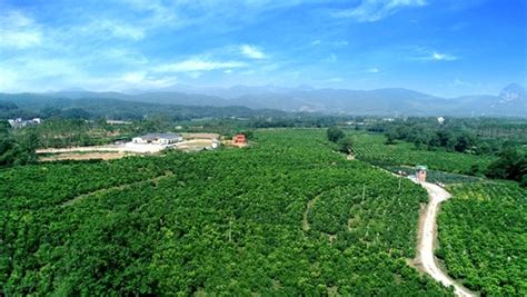 灵川县创建现代农业示范区 “四力”助推乡村振兴-桂林生活网新闻中心