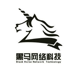 深圳市黑马众创电子商务有限公司