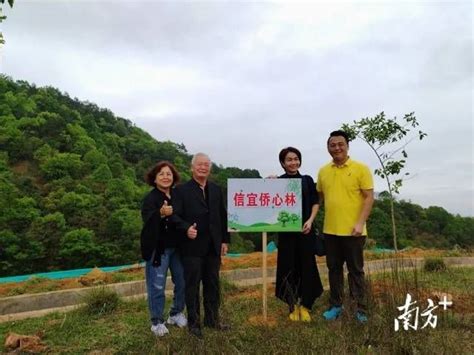 同心助力“绿美信宜”生态建设，统一战线在行动 _www.isenlin.cn