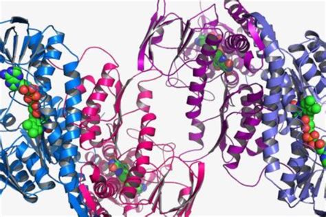 高效预测几乎所有人类蛋白质结构，AlphaFold再登Nature__凤凰网