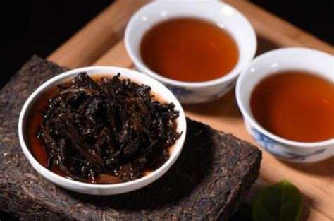 追溯历史：熟茶发酵的七个阶段-润元昌普洱茶网