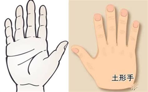 四边形可以分为几类_人的手型可以分为几种类型，你属于哪一种手型？-CSDN博客