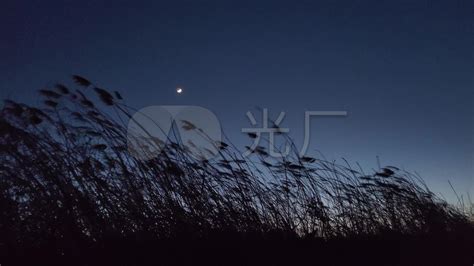 夜景冬季白雪月亮H5背景背景图片下载_1080x1920像素JPG格式_编号vgmfl2y9v_图精灵