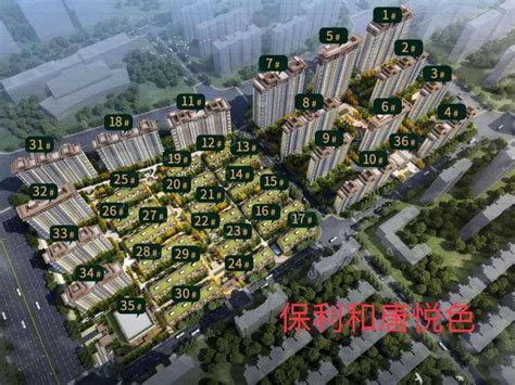 保利·光合上城好不好？置业顾问从项目现场发回新鲜组图-上海新房网-房天下